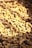 A collection of dried, irregularly shaped turmeric roots with a rough texture, illuminated by warm sunlight, creating patches of light and shadow.