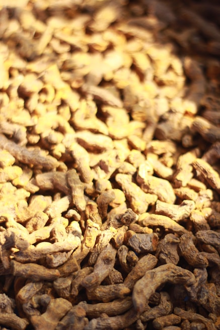 Bundles of bright yellow turmeric roots drying under the sun on bamboo mats