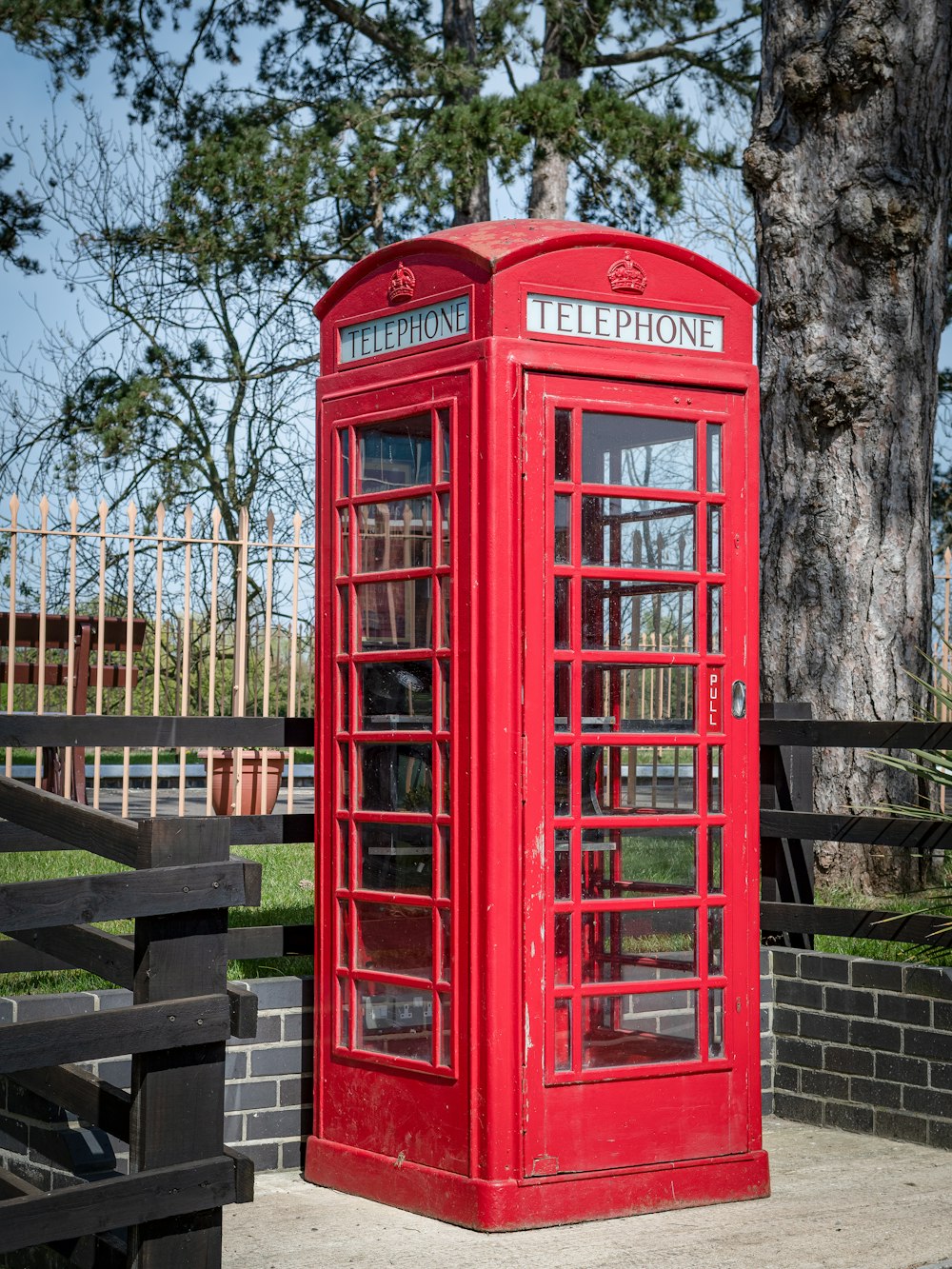 昼間の裸木の近くの赤い電話ボックス
