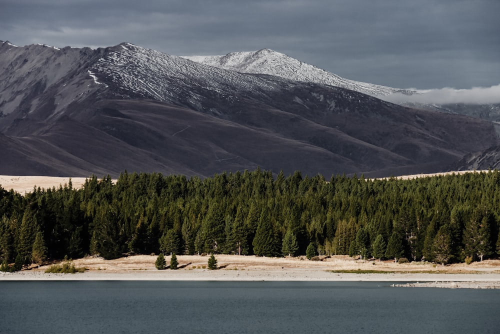 green trees near body of water and mountain during daytime