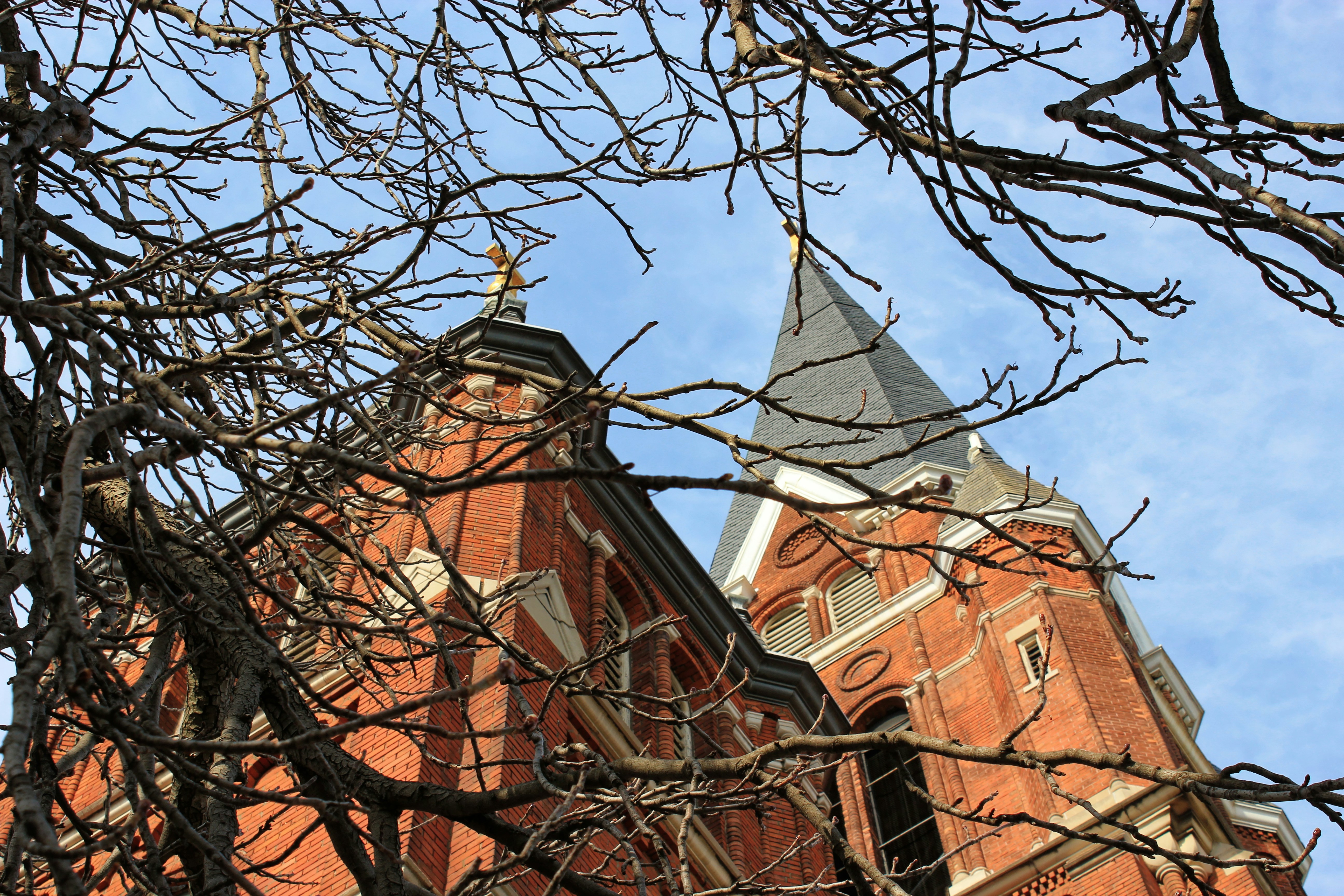 Photo by mrgreatheart