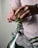 Hands gently hold a small plant with green leaves, placing it into the narrow opening of a large clear glass bottle. The person is wearing a light pink shirt and a black wristwatch, with a visible tattoo on their arm. Soil hangs from the plant's roots, suggesting a focus on gardening or plant care.