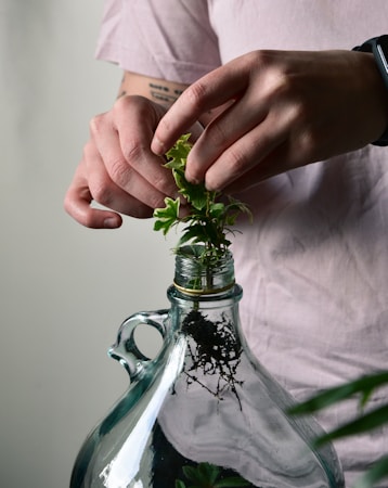 L&rsquo;impact de l&rsquo;horticulture en milieu pénitentiaire