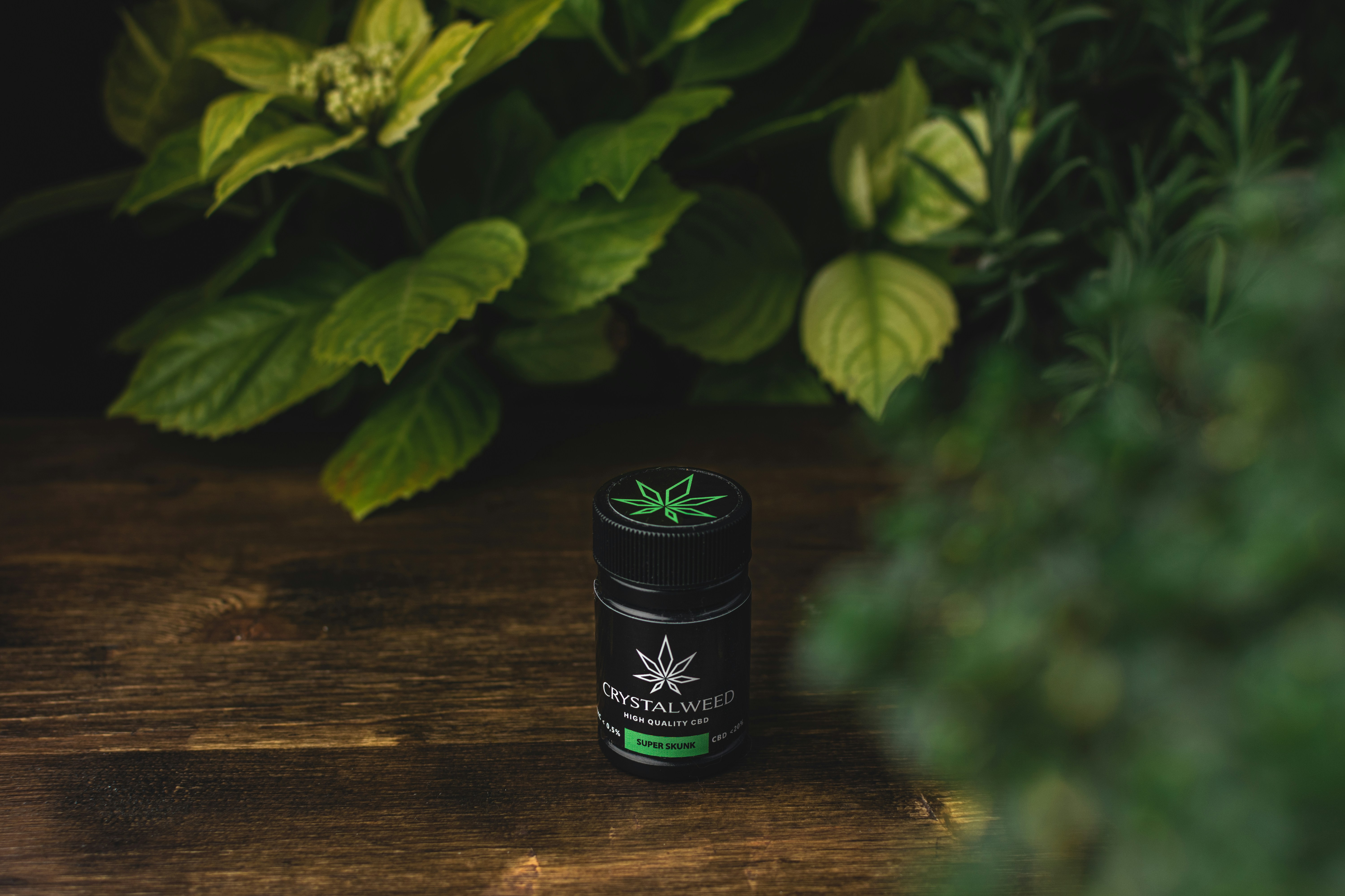 photo-1619709006730-a616d6c1a83e?ixid=M3wxMjA3fDB8MXxzZWFyY2h8MTZ8fHRpZW5kYSUyMG9ubGluZSUyMGhlcmJhbGlmZXxlbnwwfHx8fDE3NTMwMTQ4MTB8MA\u0026ixlib=rb-4.1.0