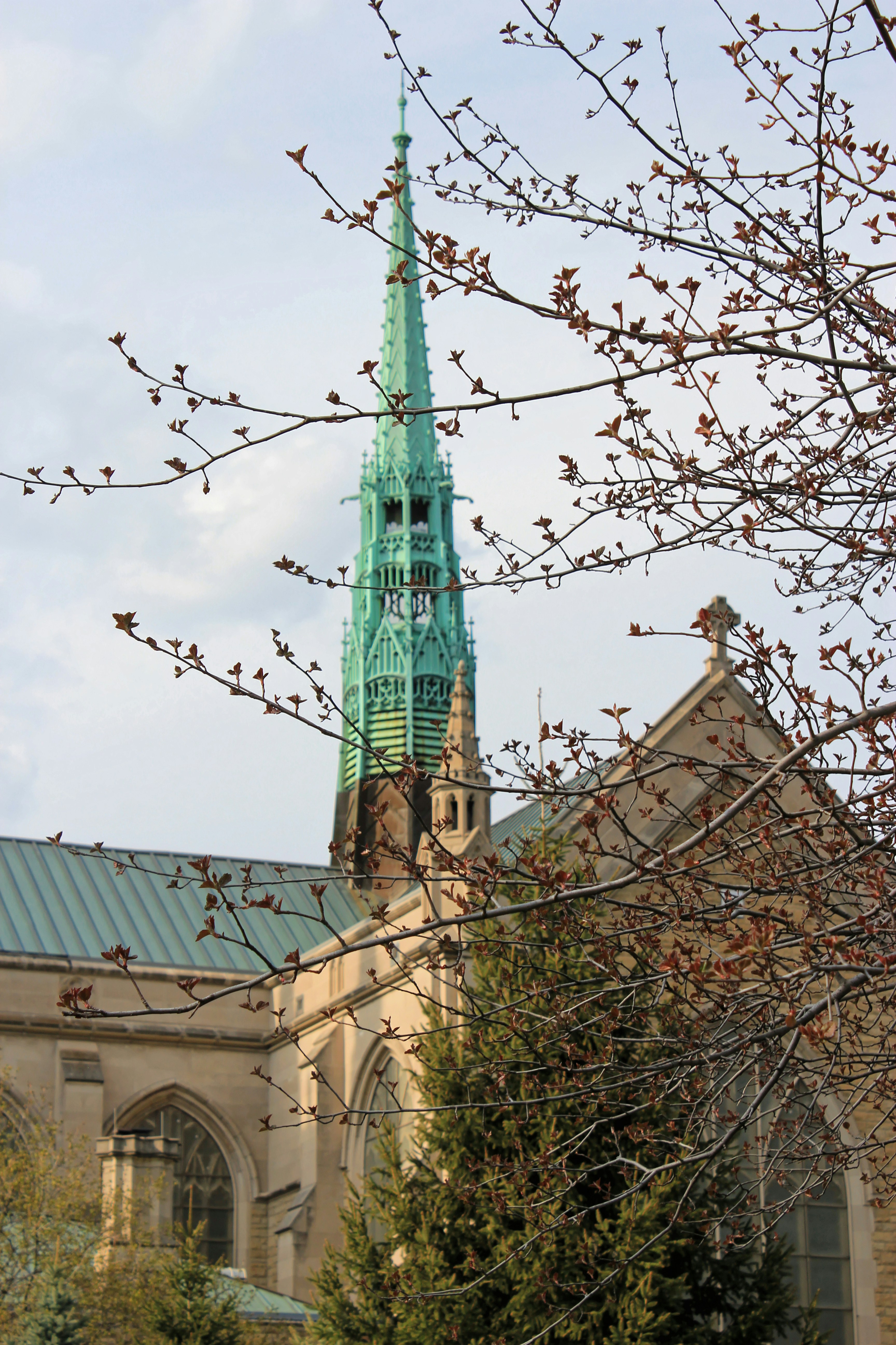 Photo by mrgreatheart