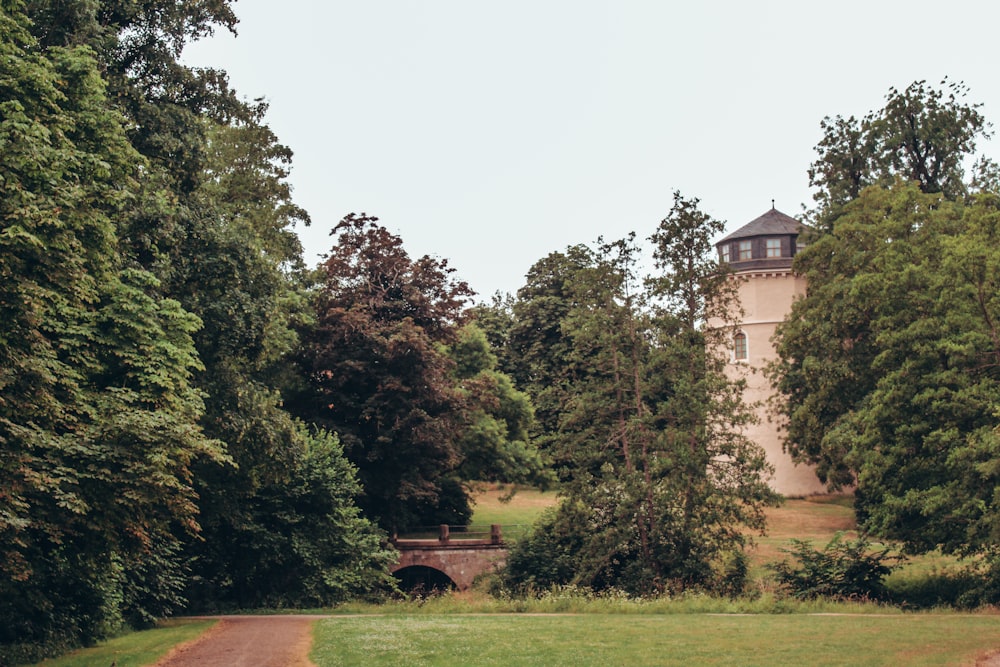 green grass field with trees and brown concrete building