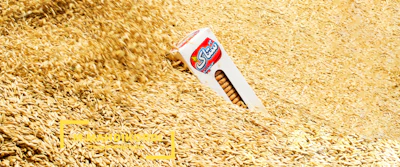 A vibrant display of fresh wheat grains and flour sacks symbolizing atta & flour category.