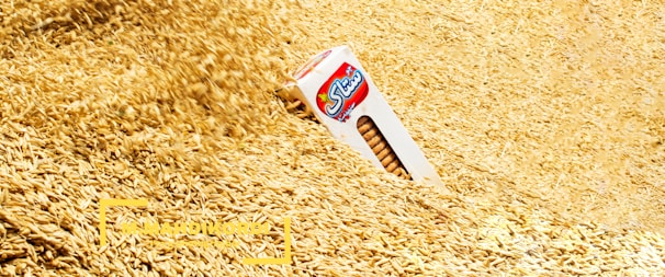 A box of wheat biscuits is partially buried in a large pile of wheat grains. The image foreground and background are filled with the light brown and golden hues of the grains, creating a textured look. The biscuit box has a clear front display showing vertical stacks of the biscuits and a logo in red and blue.