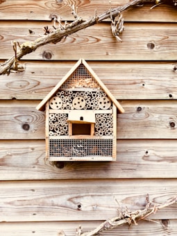 A wooden bug hotel is mounted on a wooden wall, featuring various sections filled with materials like bamboo sticks and pinecones. Above and below the hotel, dried branches add texture to the scene.