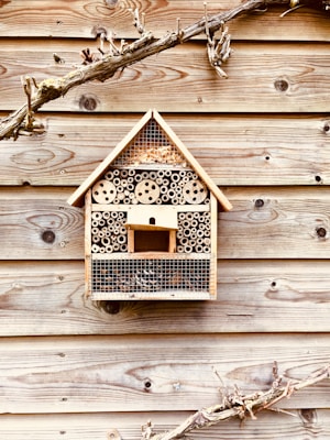 A wooden bug hotel is mounted on a wooden wall, featuring various sections filled with materials like bamboo sticks and pinecones. Above and below the hotel, dried branches add texture to the scene.
