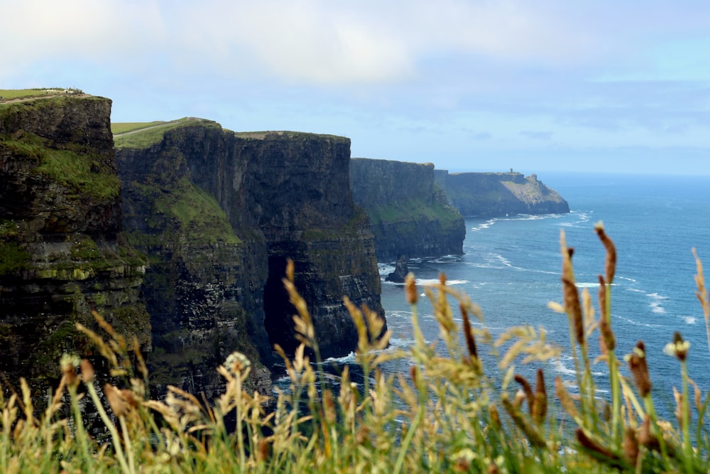 green grass on cliff by the sea under white clouds during daytime