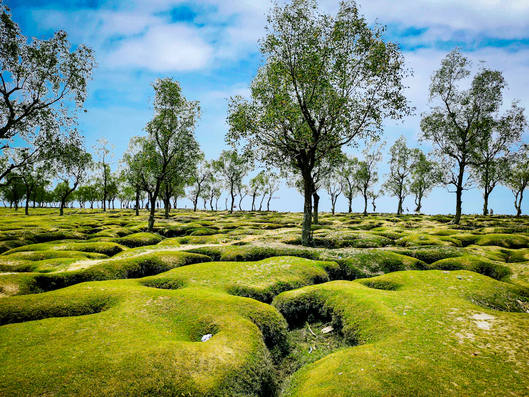 5-Day Family Guide to Chittagong, Bangladesh