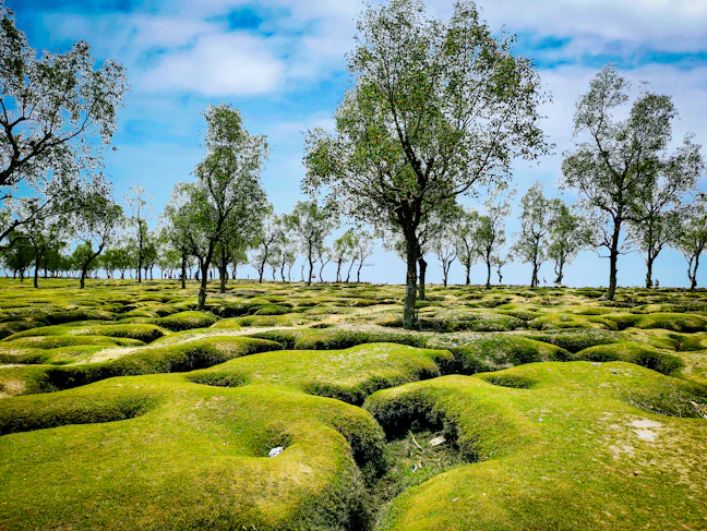 5-Day Family Guide to Chittagong, Bangladesh