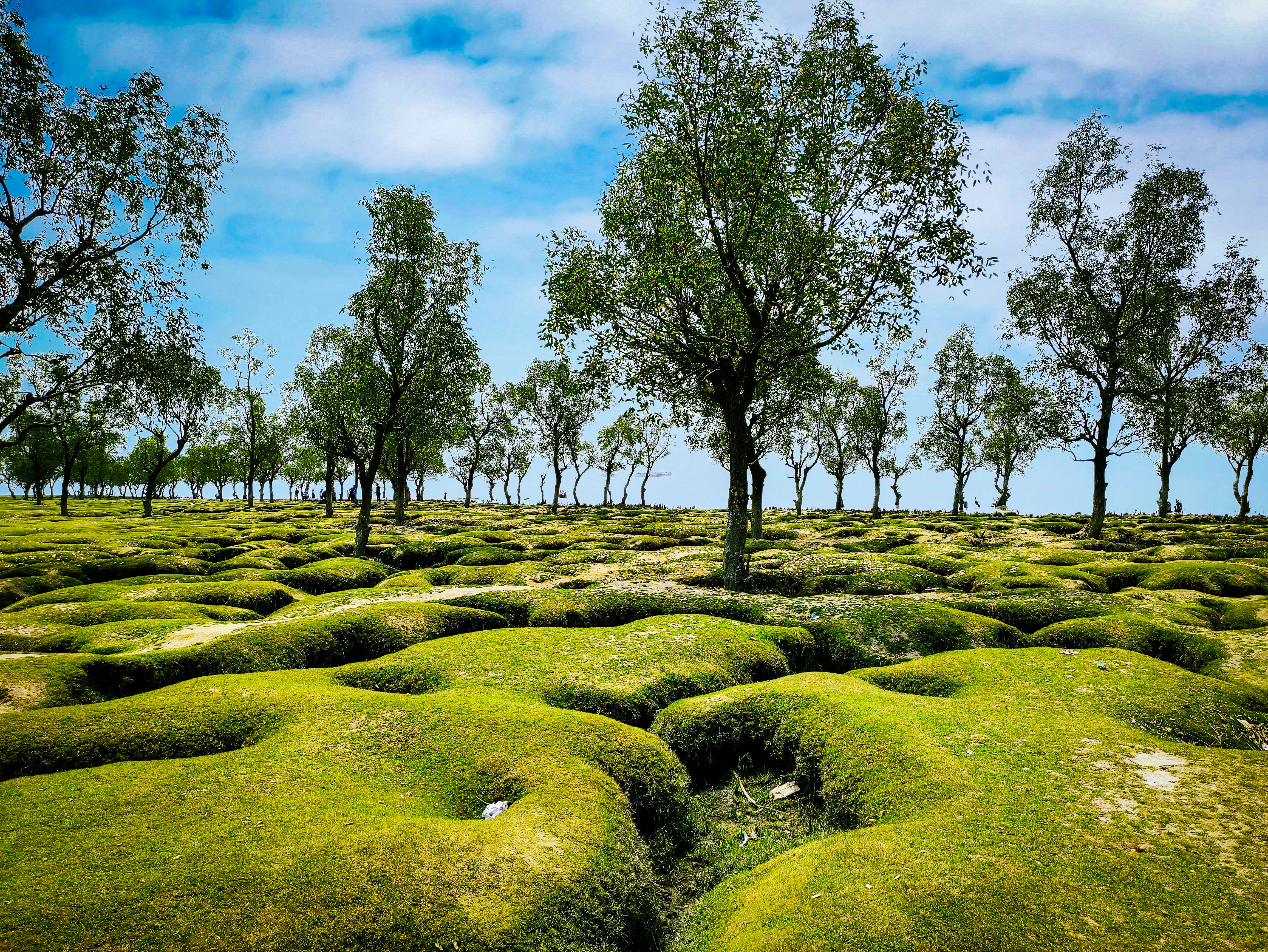 CGP destination photo