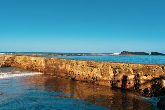 Close-up of a seawall repair in progress, showing soil stabilization and weep hole restoration.