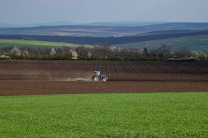 A powerful green agricultural tractor working in a field under a soft pastel sky.