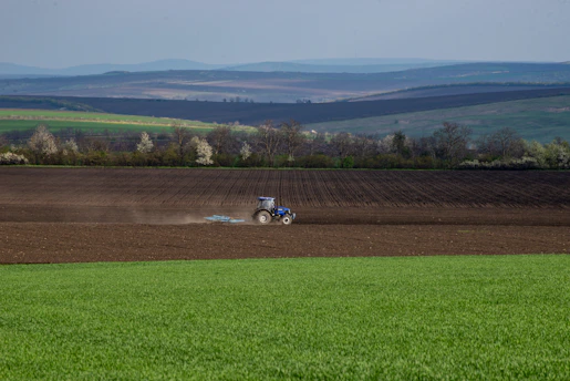 A red and black tractor working in a golden field under a bright blue sky in the Kempen region.