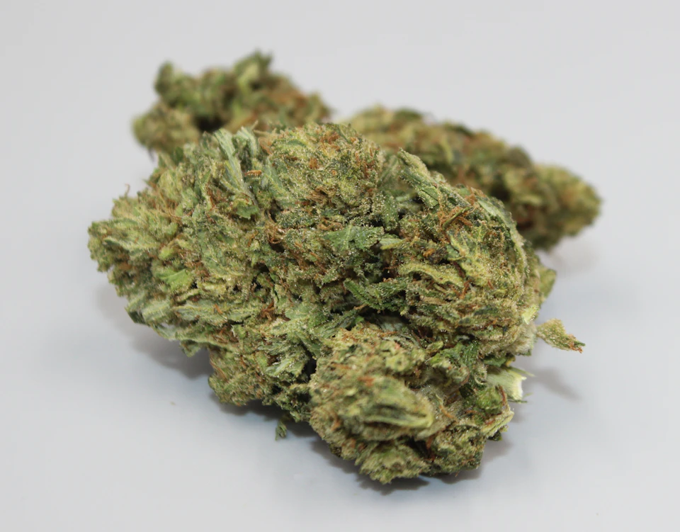 Close-up view of a single marijuana bud with vibrant green color on white surface