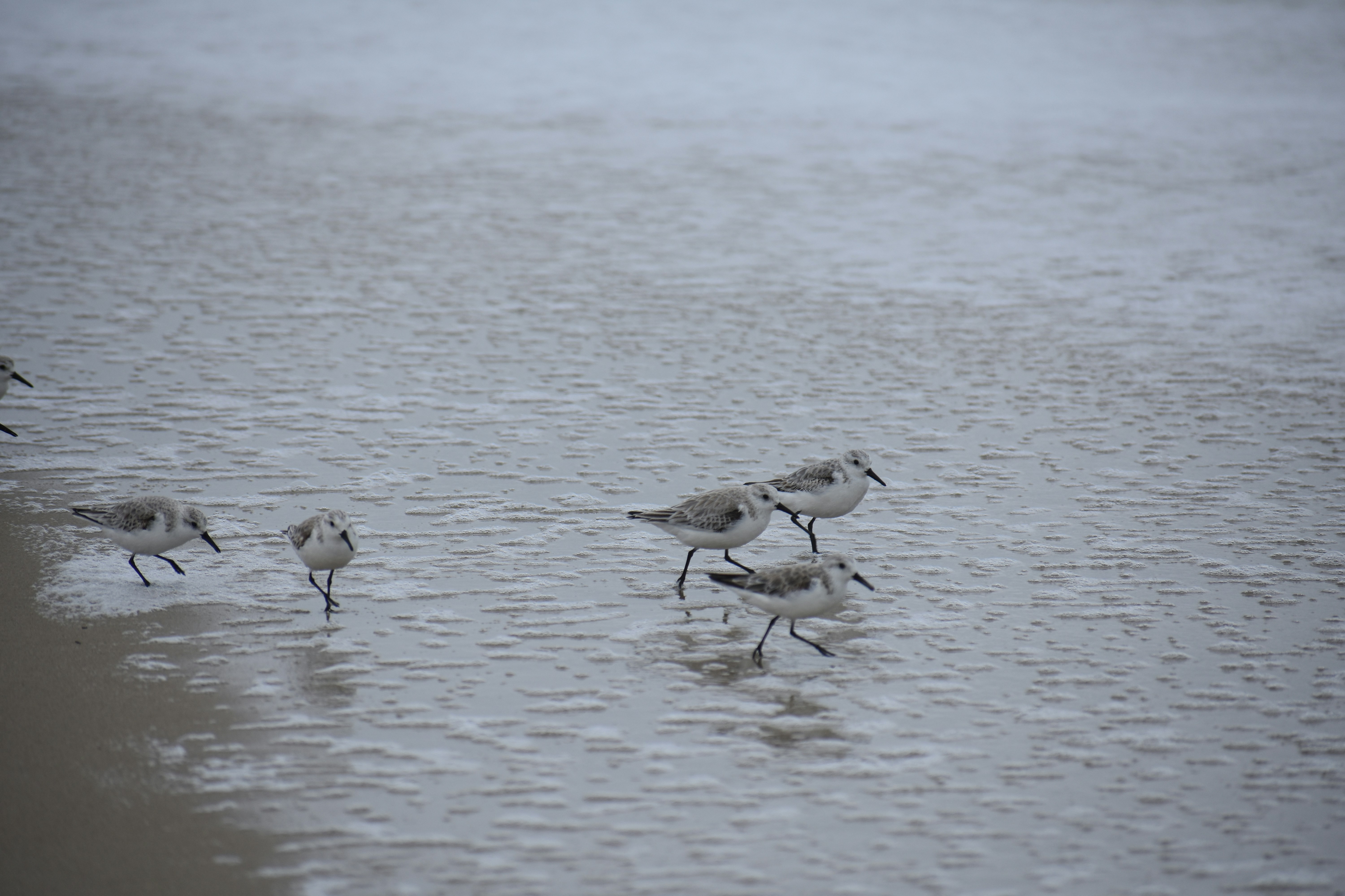 Photo by nevaschehl24