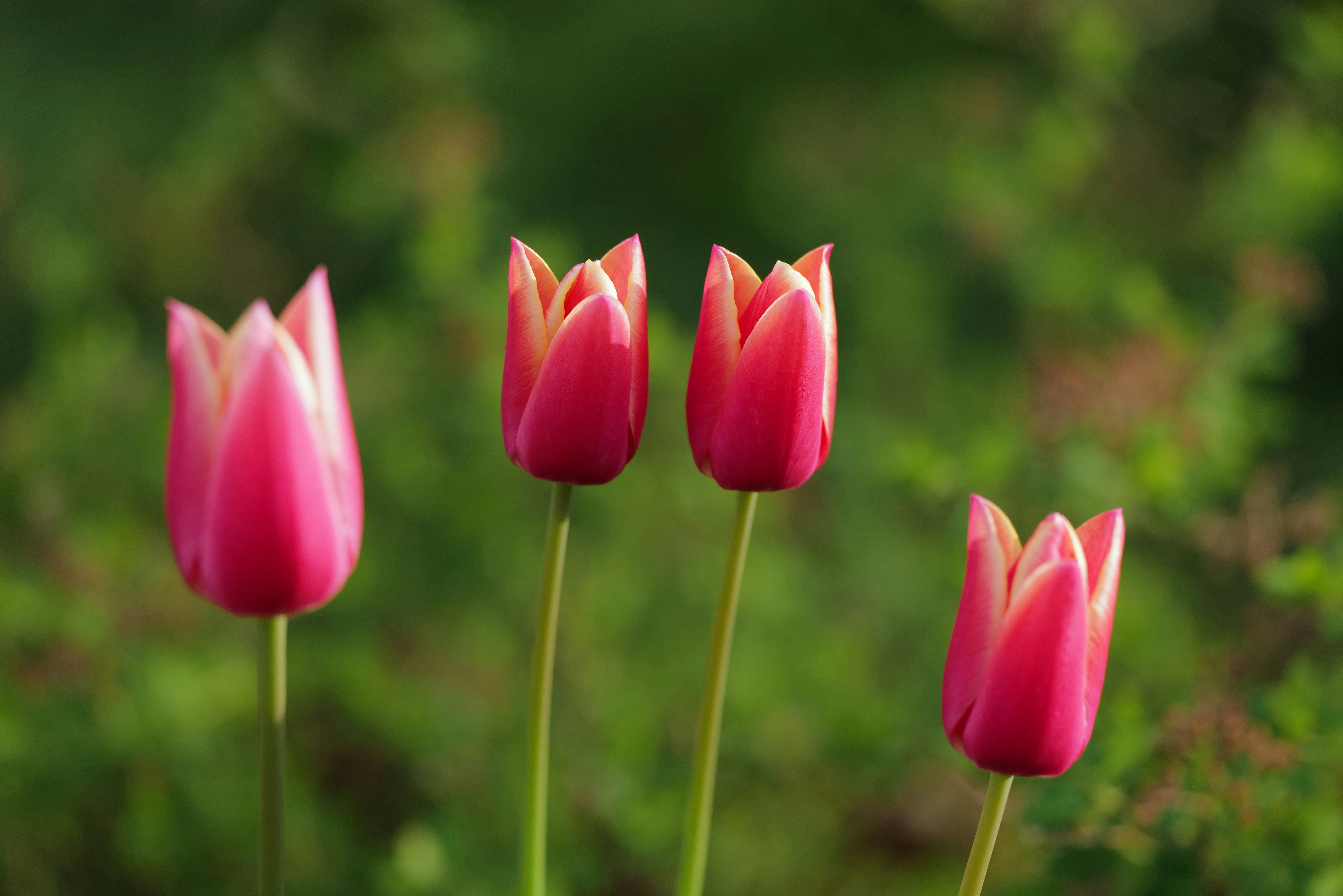 Photo by georgeiermann