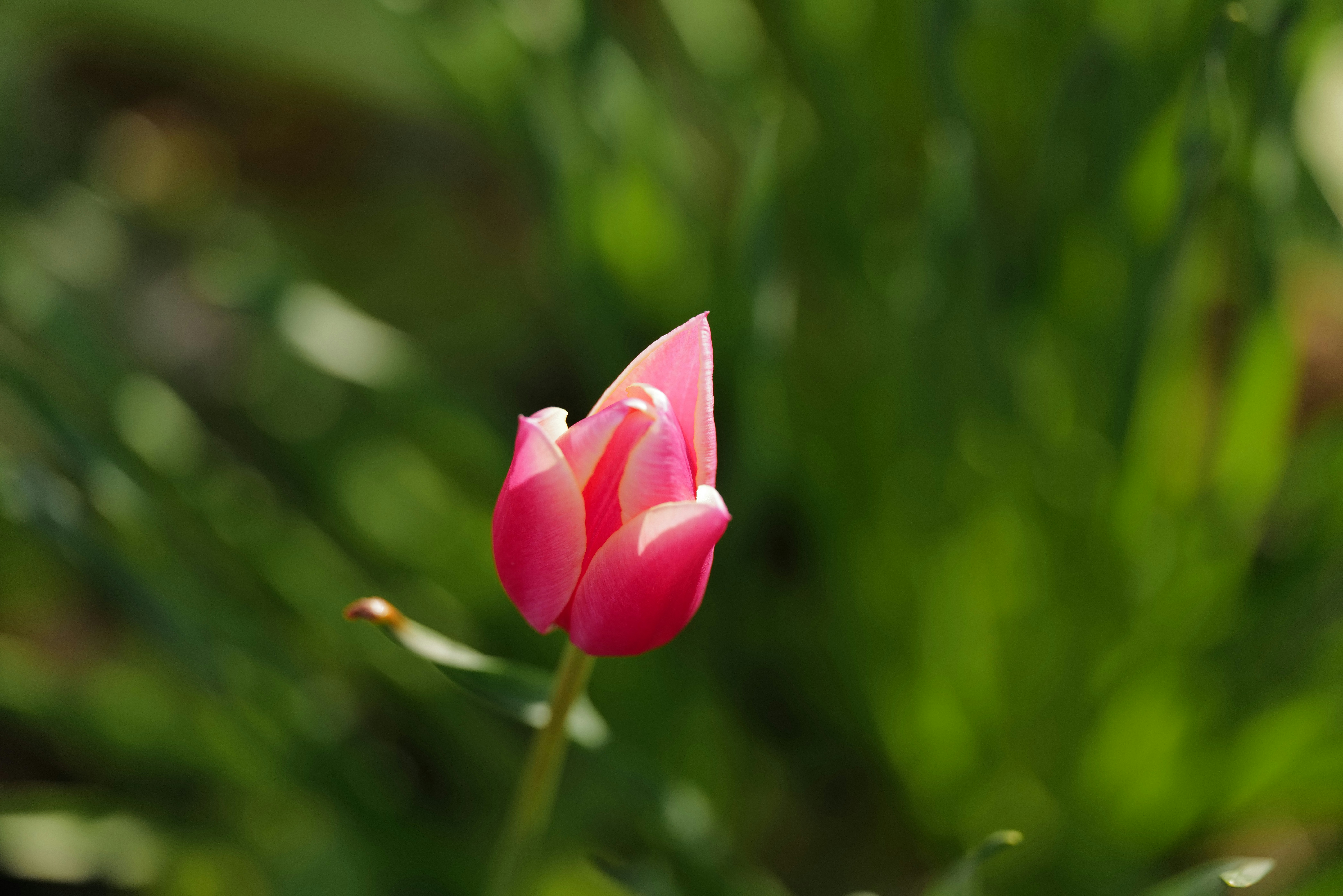 Photo by georgeiermann