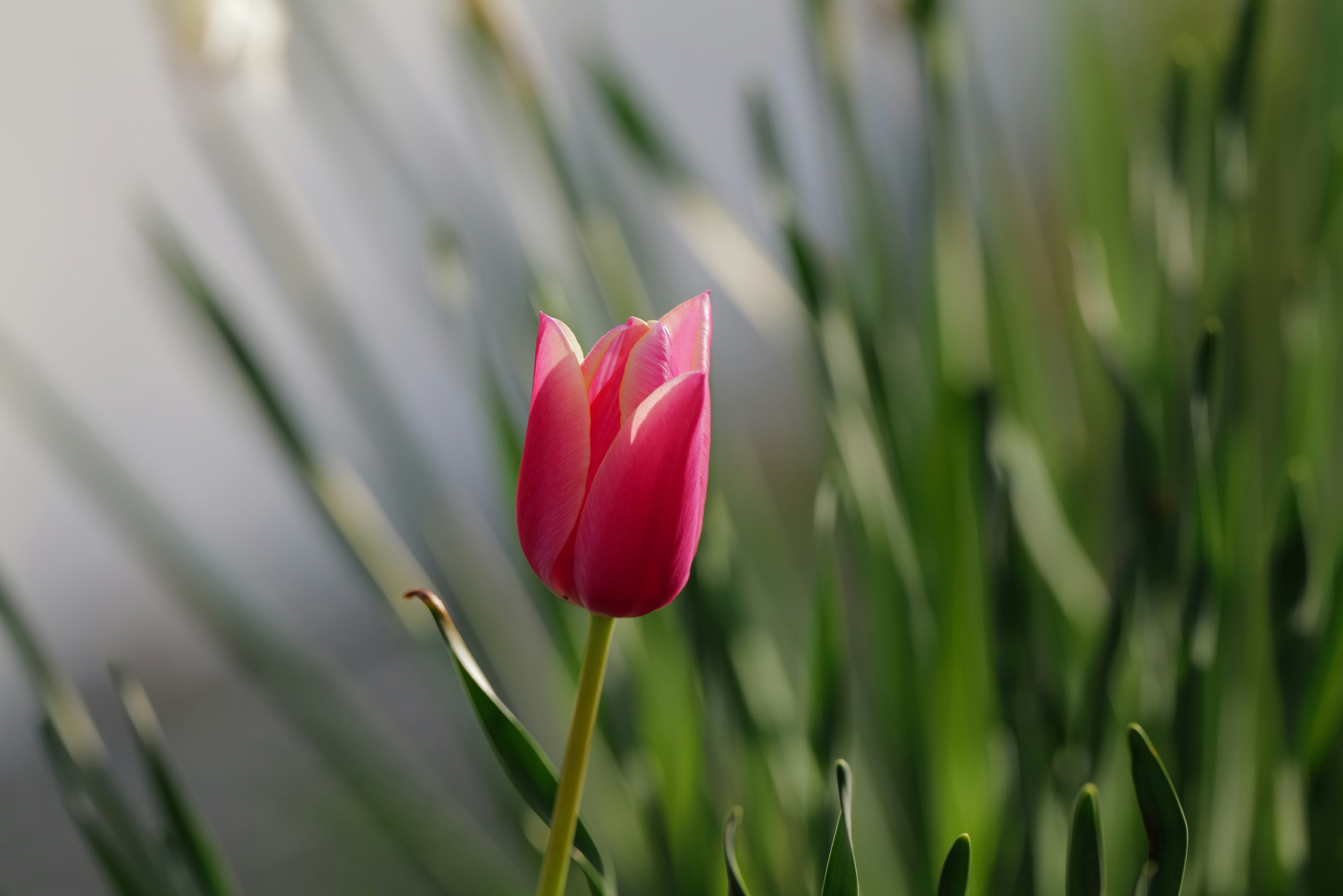 Photo by georgeiermann