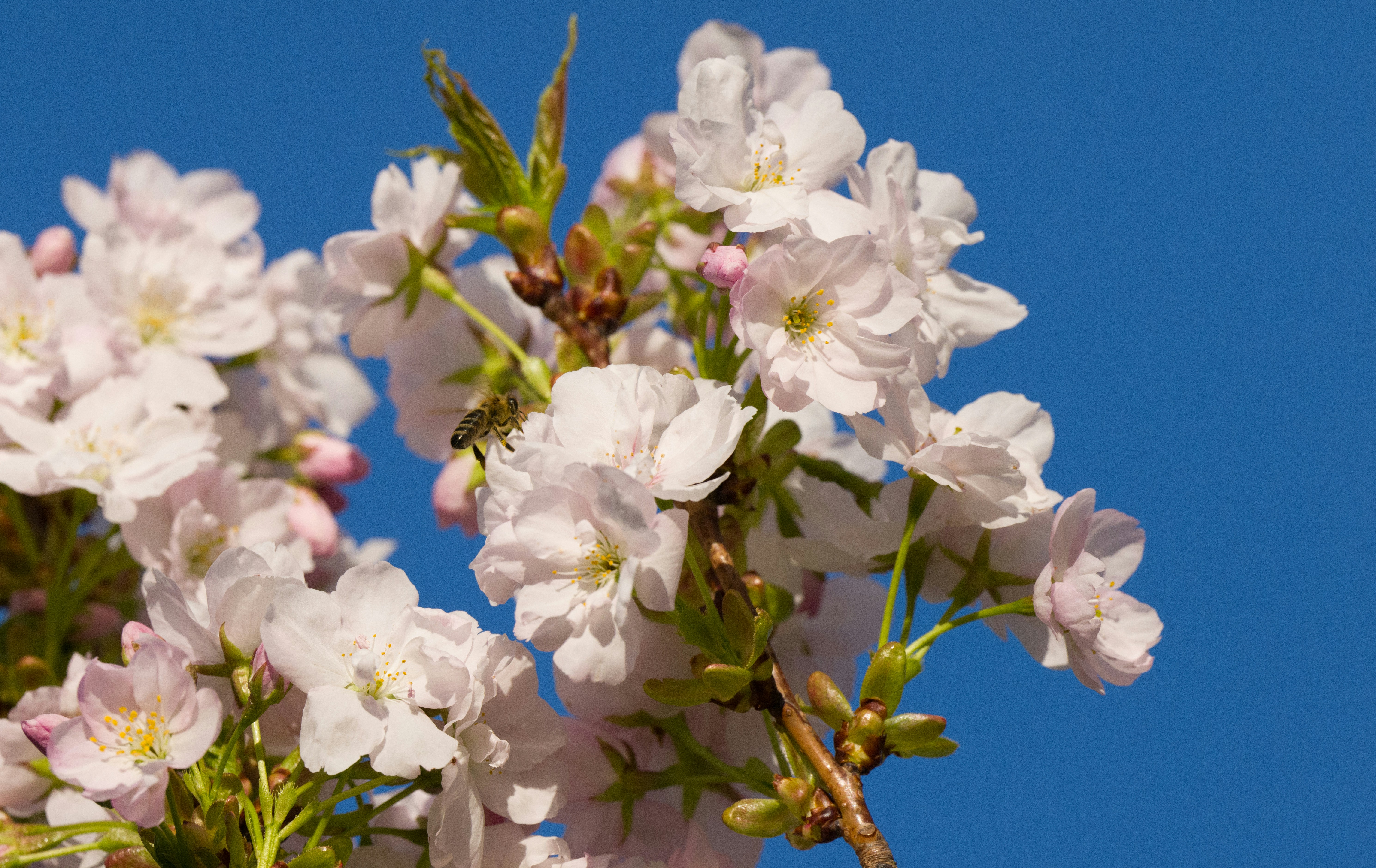 Photo by georgeiermann