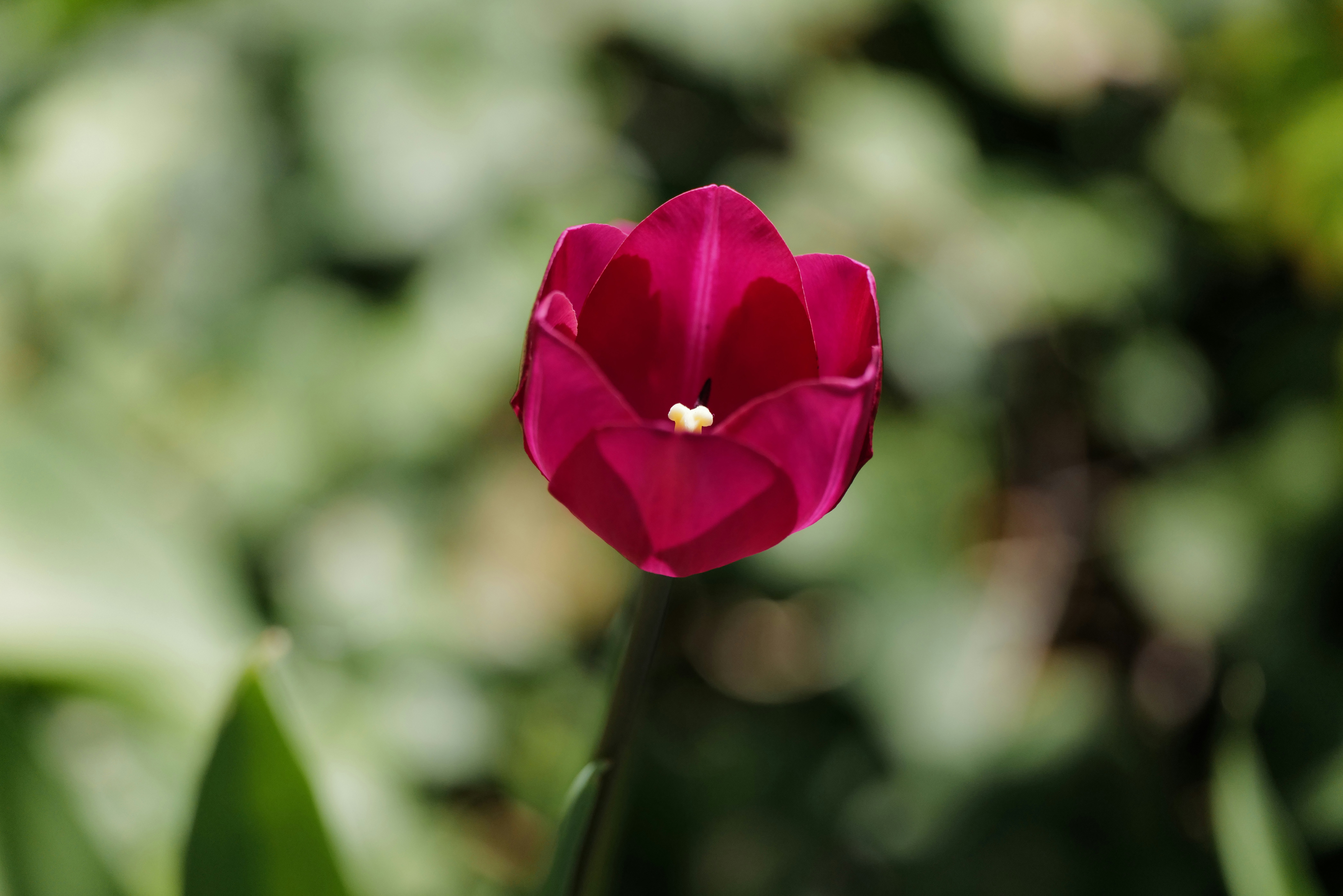 Photo by georgeiermann