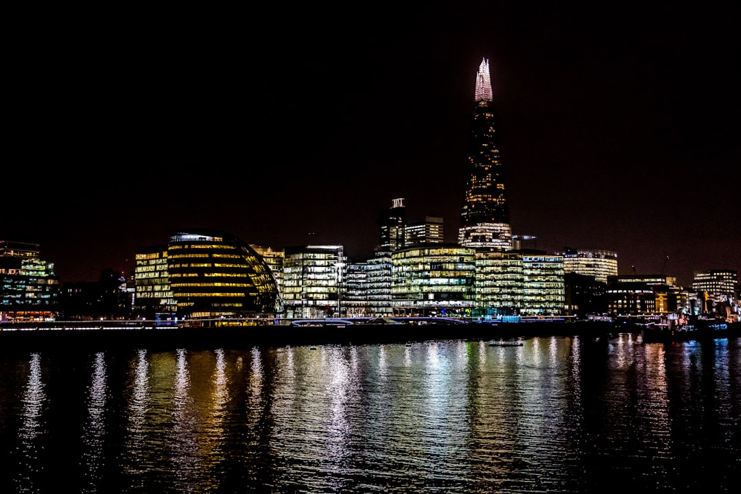 city skyline during night time