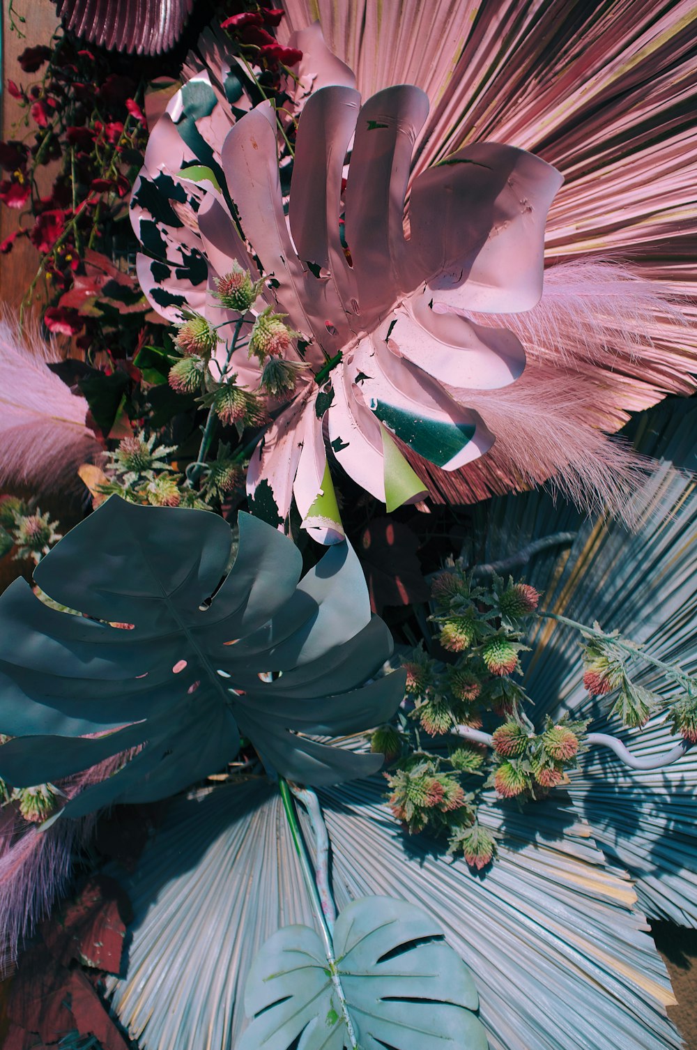 pink and green plant during daytime