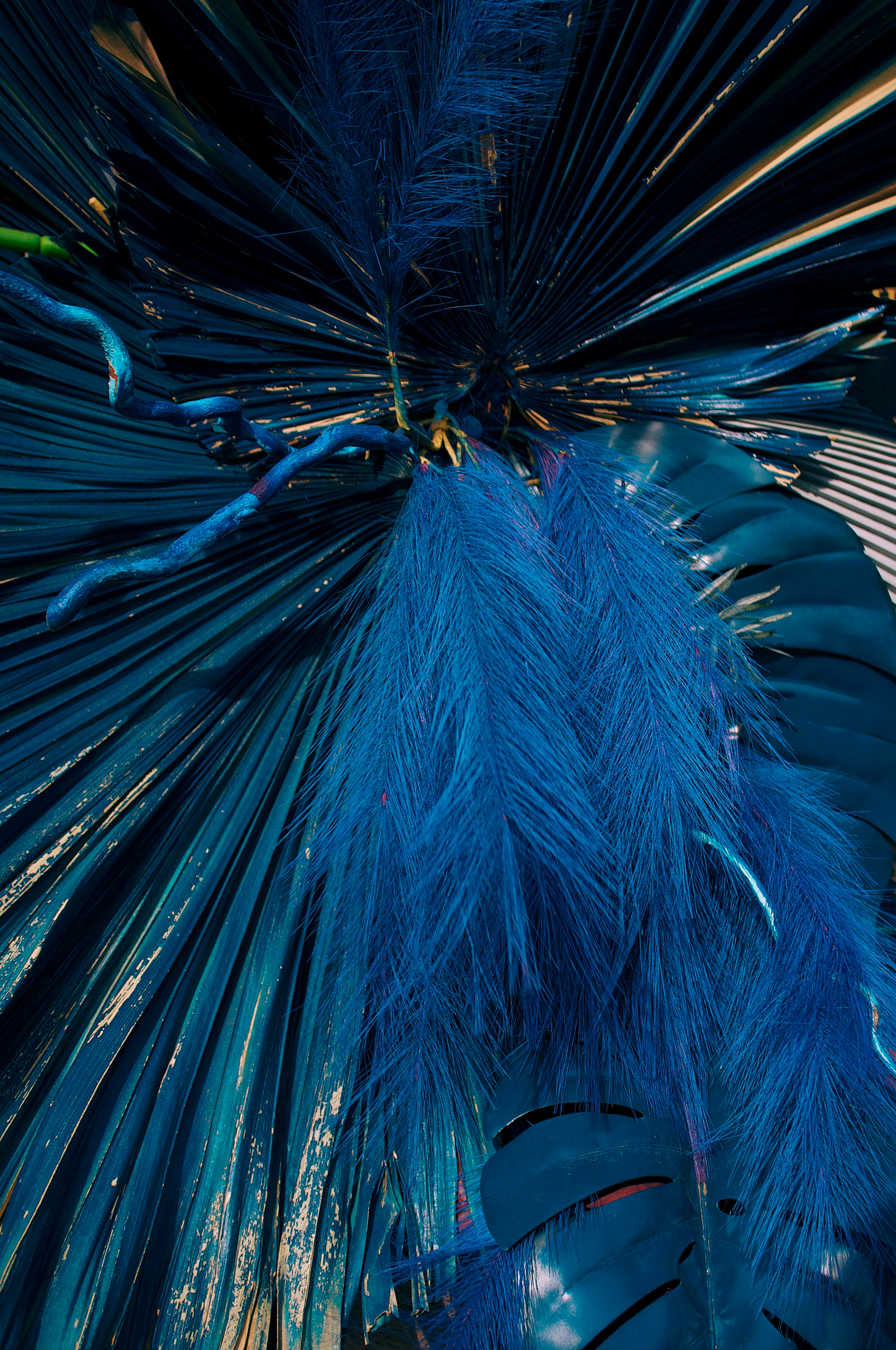 Photo by cherenkevich