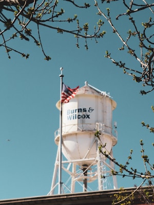 A white water tower with the text 'Burns & Wilcox' is prominently displayed against a clear blue sky. The tower is surrounded by tree branches with budding leaves, and an American flag is mounted on the tower.