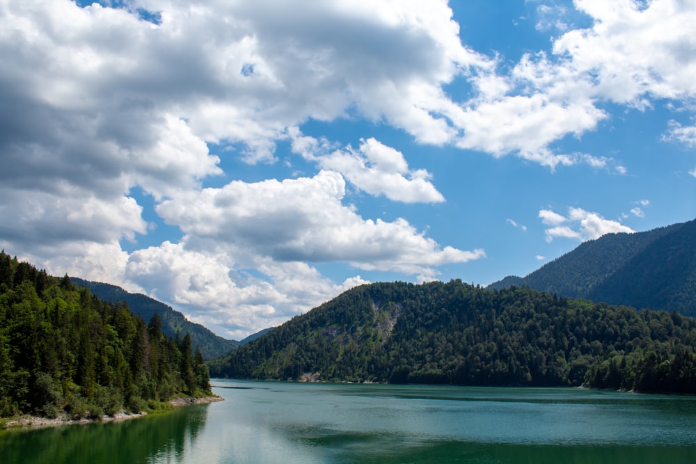 árvores verdes perto do lago sob nuvens brancas e céu azul durante o dia