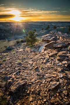 Rocky landscape surrounding Las Rocas residential area at sunset.