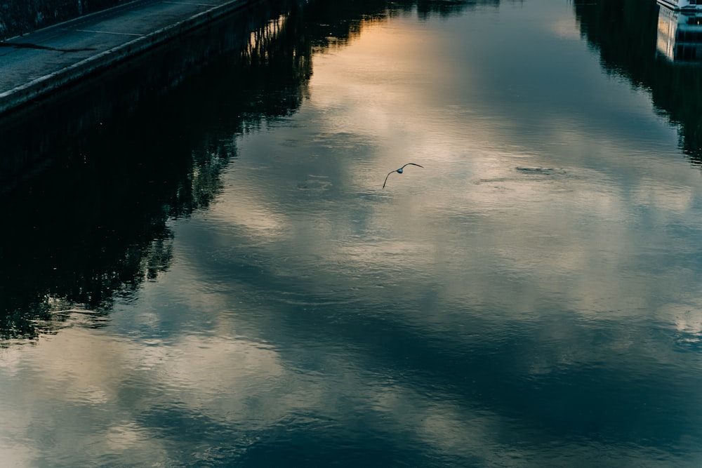 body of water during daytime