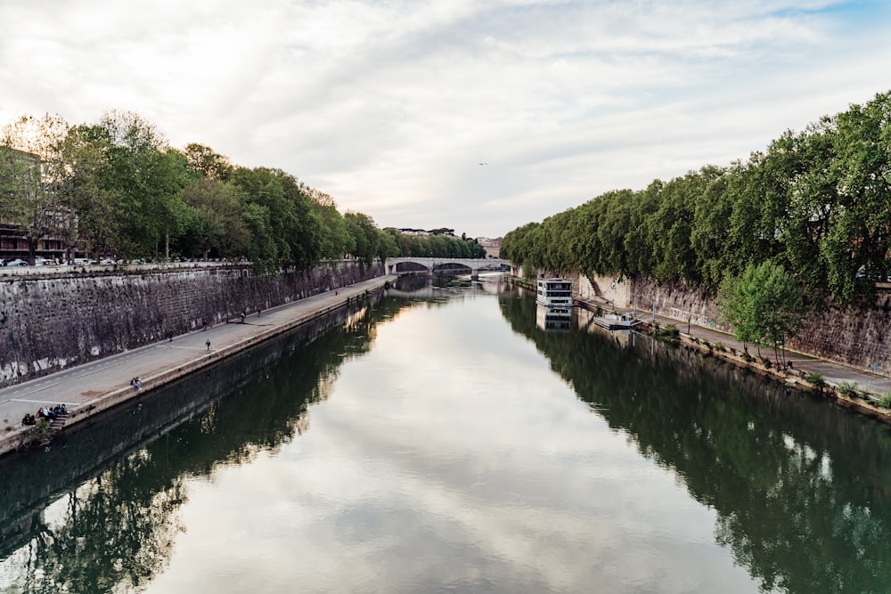 arbres verts au bord de la rivière sous des nuages blancs pendant la journée