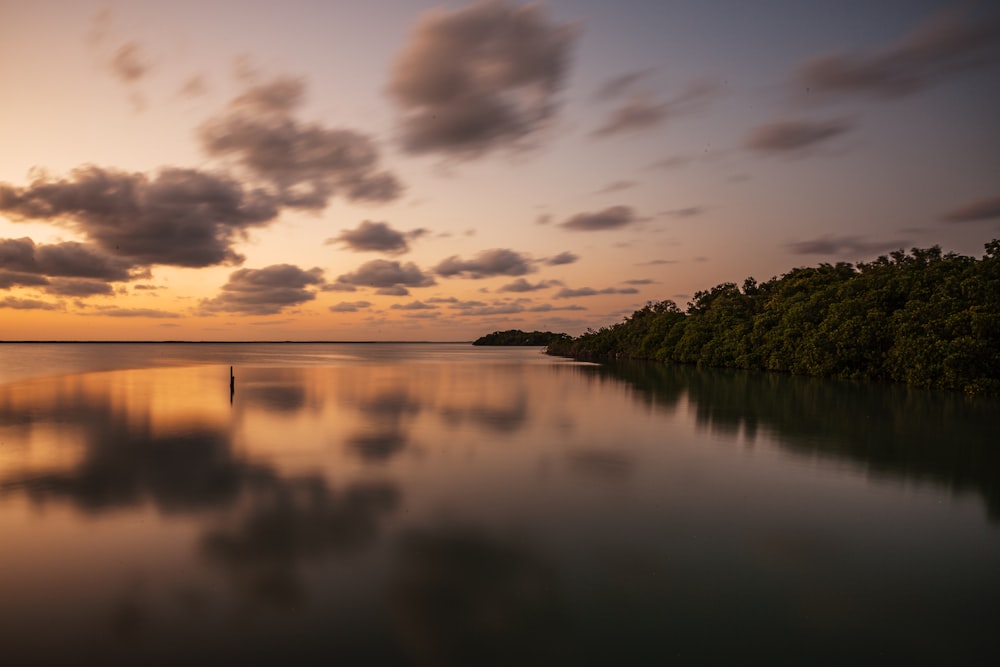 body of water near green trees under cloudy sky during daytime