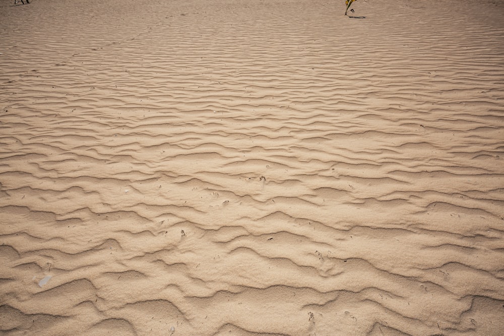 person walking on sand during daytime