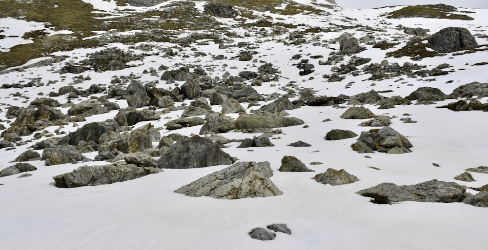 gray rocky mountain covered with snow during daytime