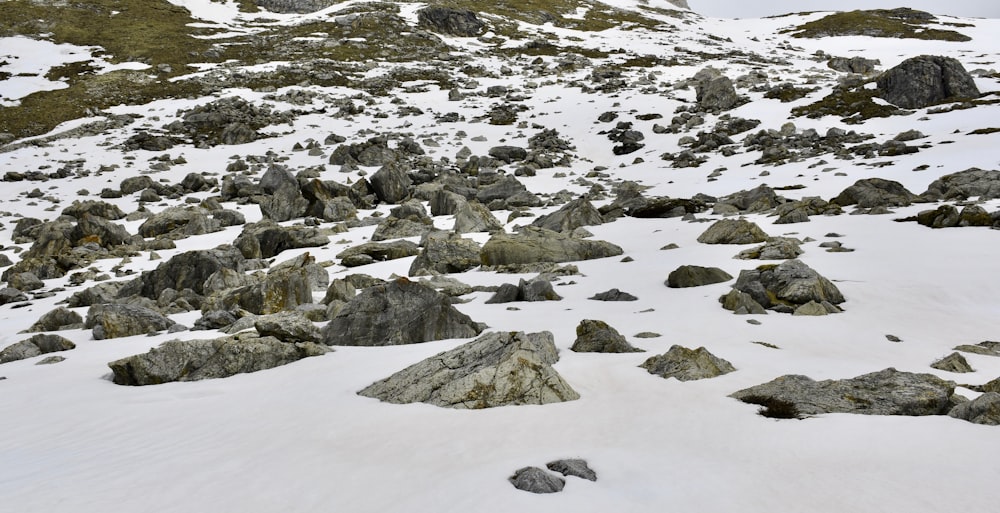 montanha rochosa cinzenta coberta de neve durante o dia