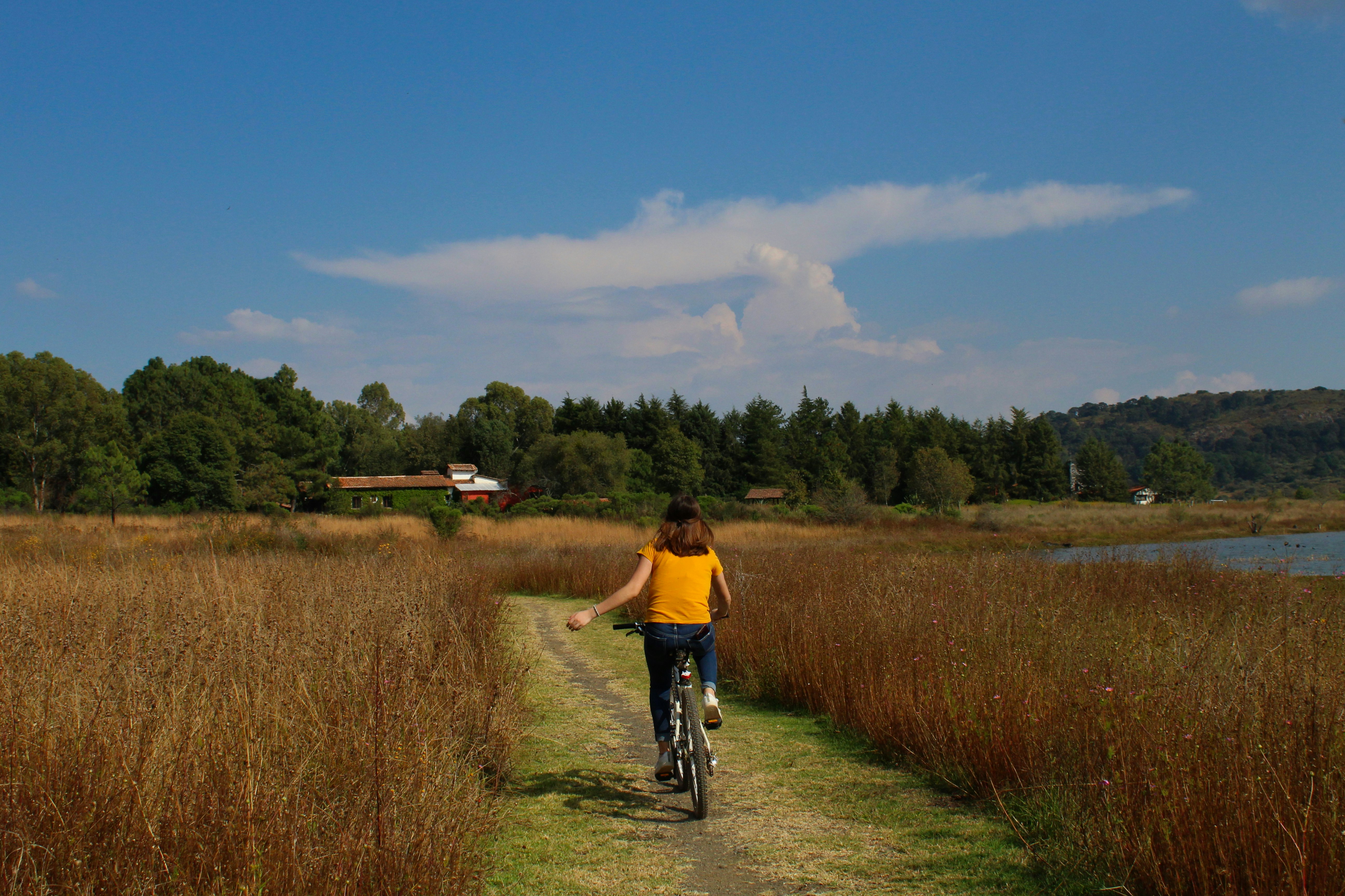 man in yellow shirt riding bicycle on green grass field during daytime