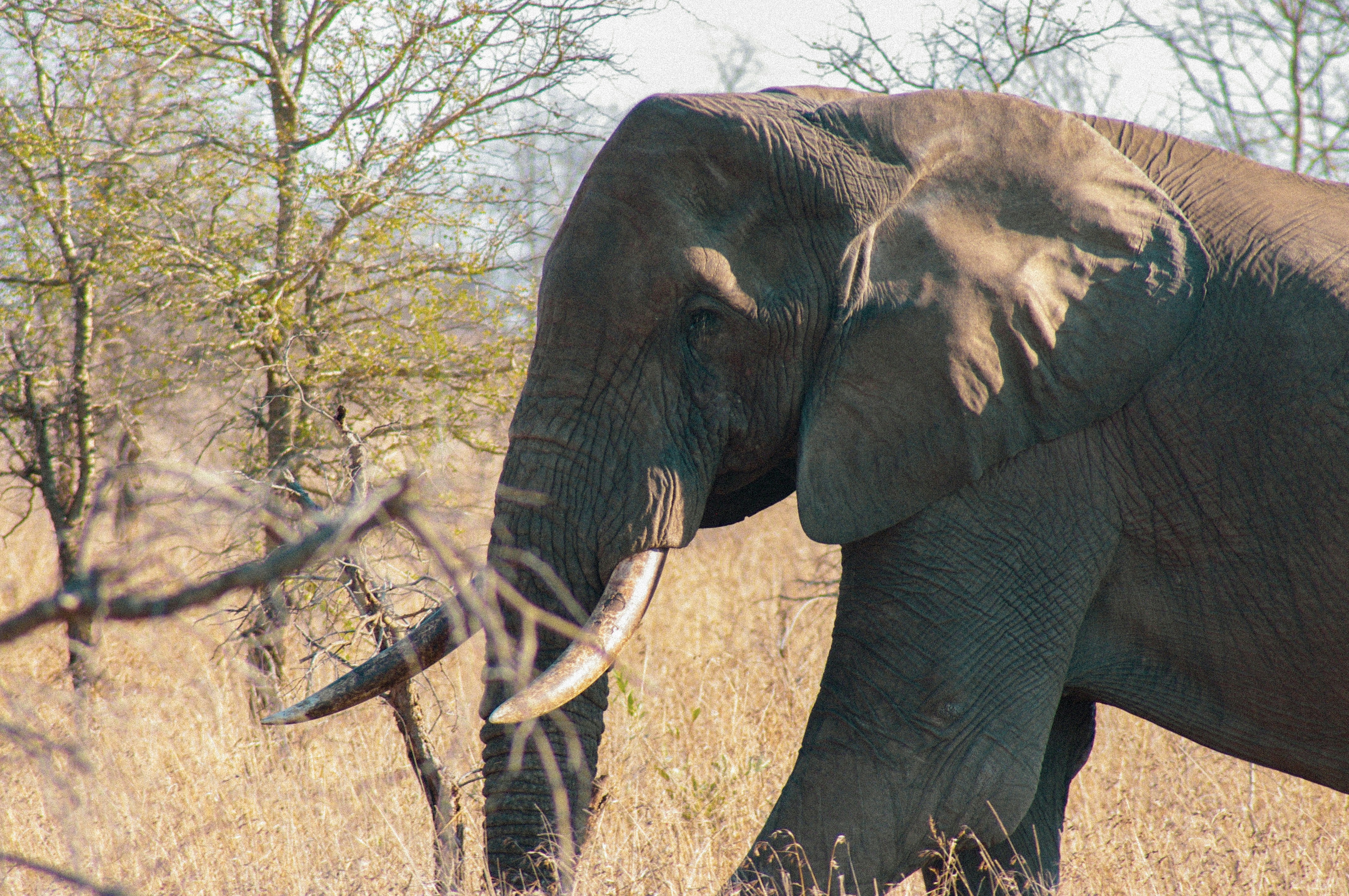 Photo by geoffroydanest