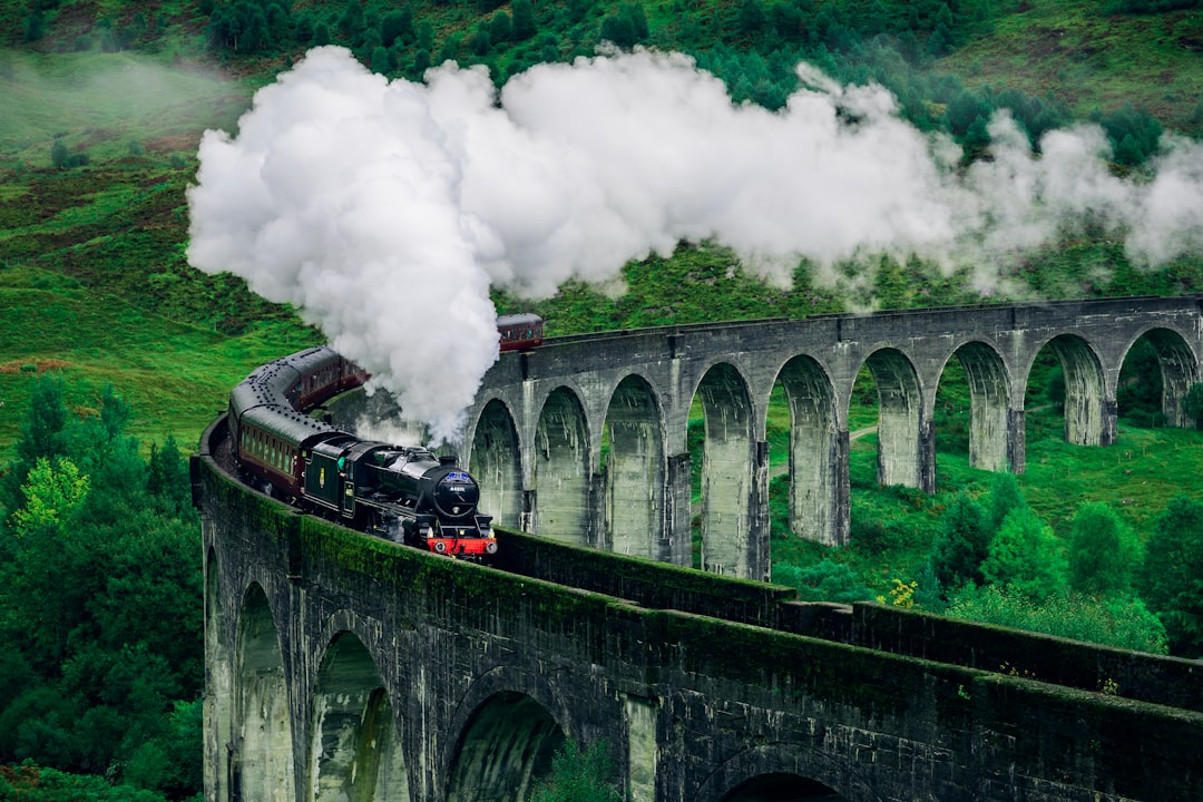 black and white train on rail bridge