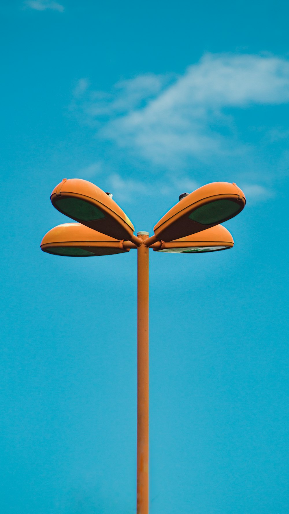 brown and white butterfly on brown stick under blue sky during daytime