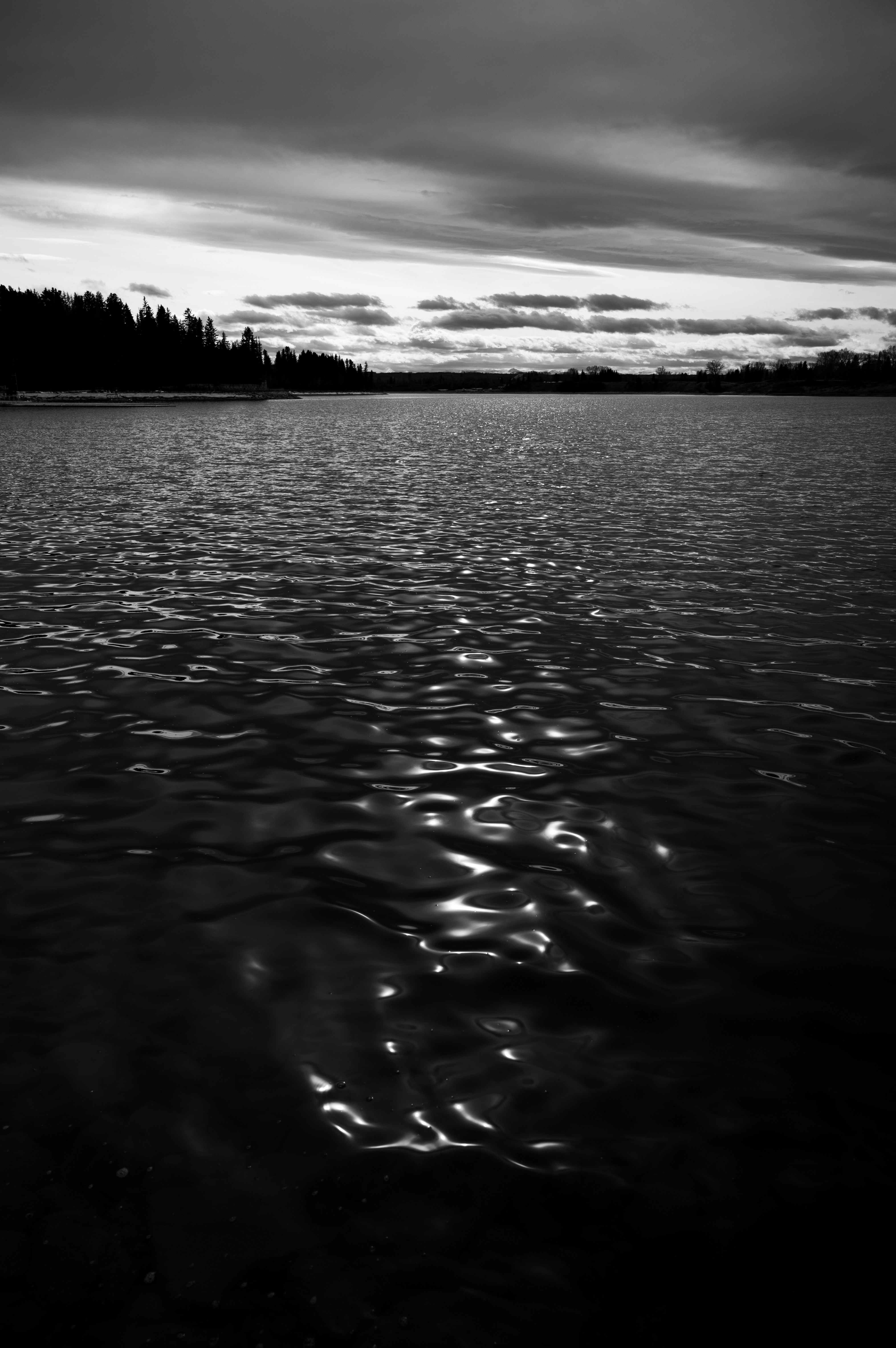 Photo by ryunosuke_kikuno