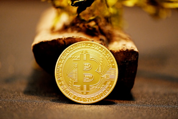 A golden Bitcoin coin is prominently positioned in front of a blurred, textured background that resembles a wooden or natural surface. The Bitcoin symbol is clearly visible on the coin, with an intricate circuit-like design around it.