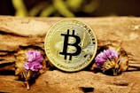 A gold Bitcoin coin is placed on a wooden surface, flanked by two small purple flowers. The coin features the Bitcoin logo and inscriptions around its edge. The scene has a natural and rustic aesthetic.