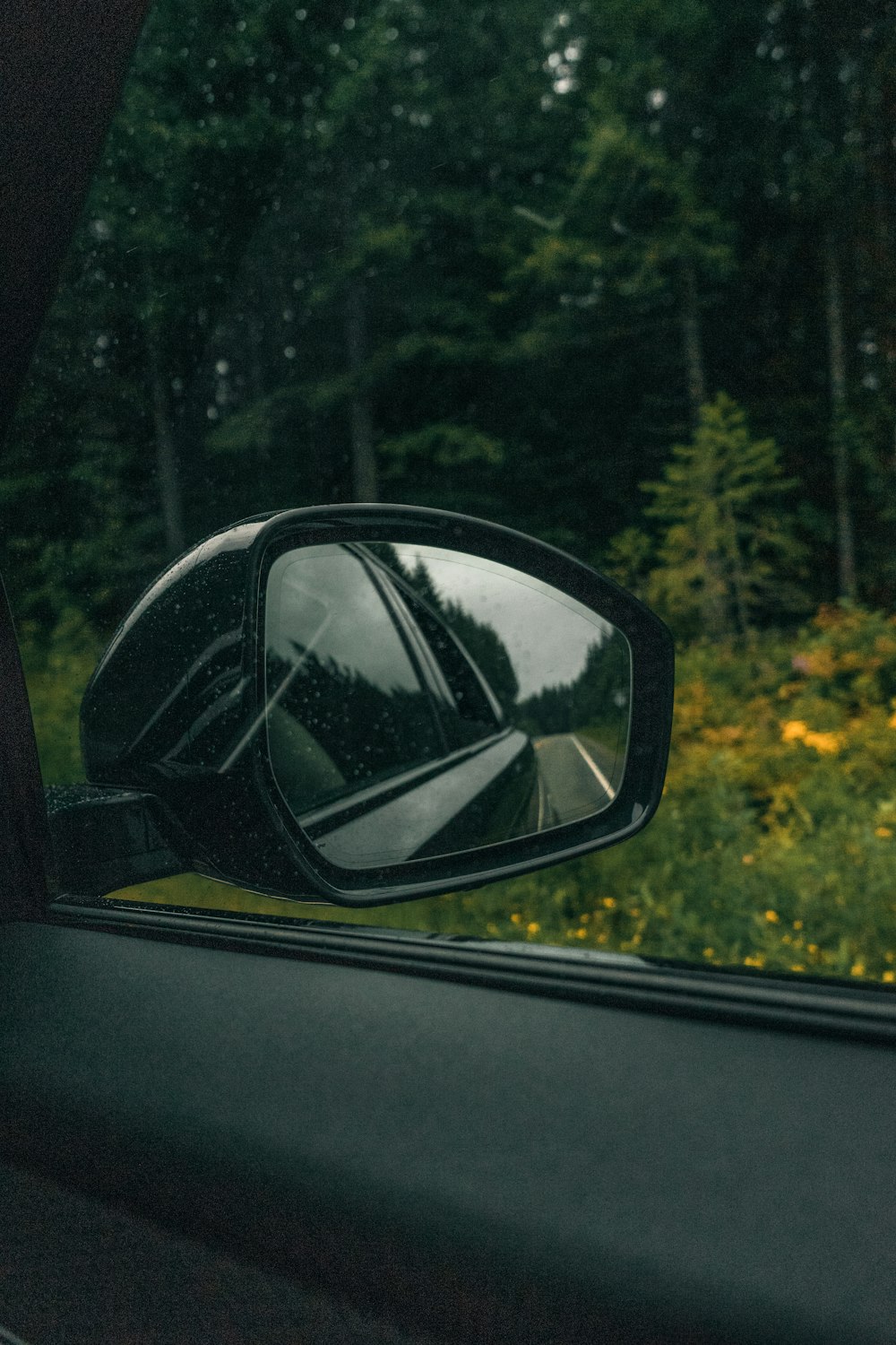 Espejo lateral del automóvil que refleja árboles verdes durante el día