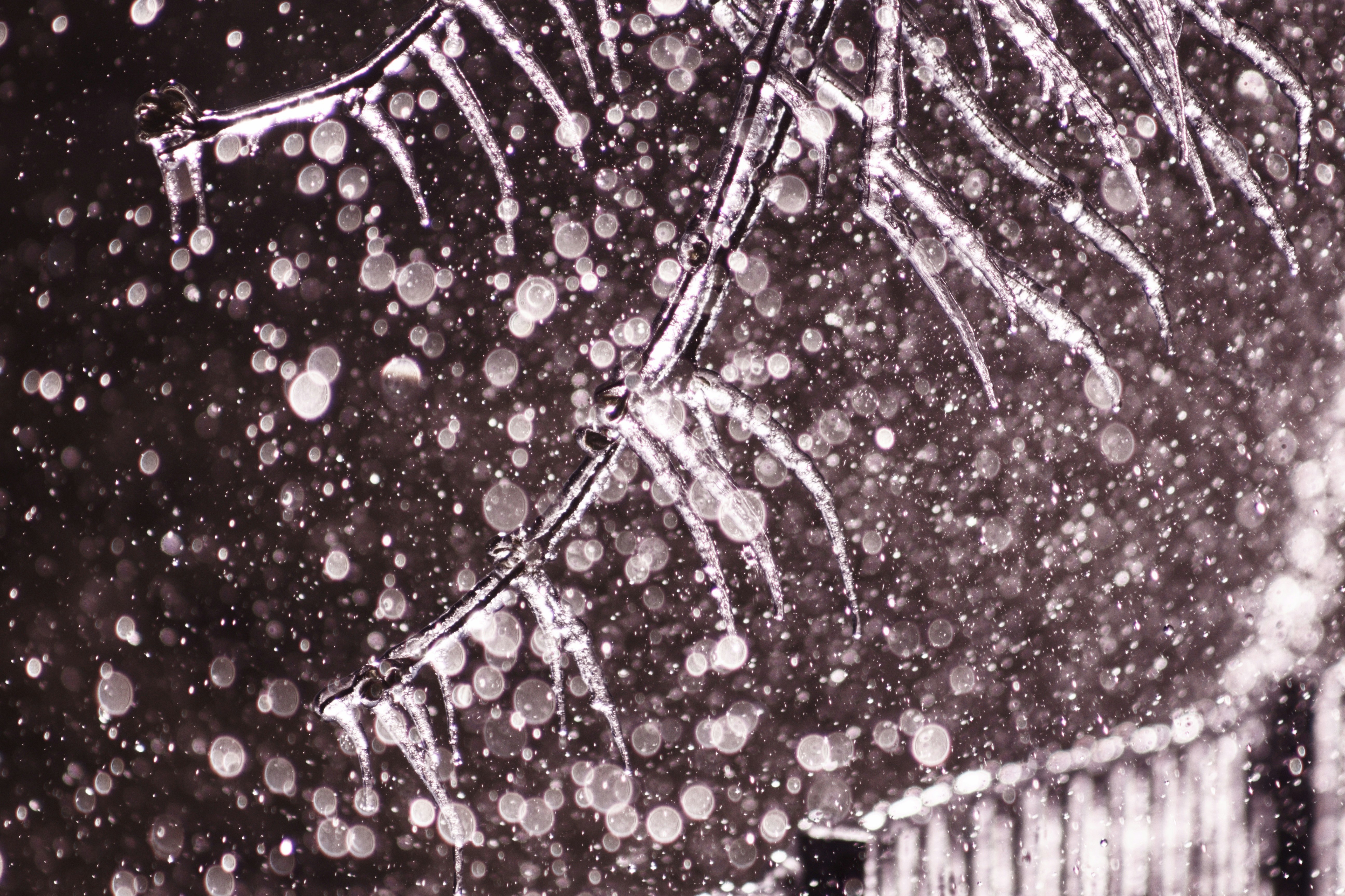 Photo by joshua_hoehne