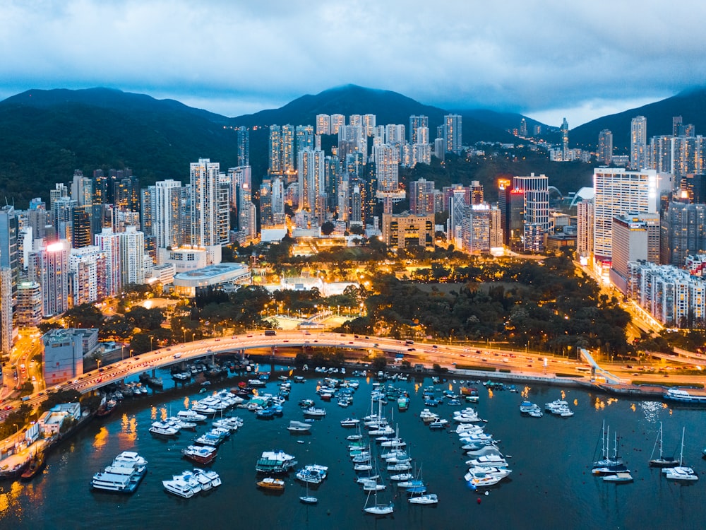 aerial view of city buildings during night time